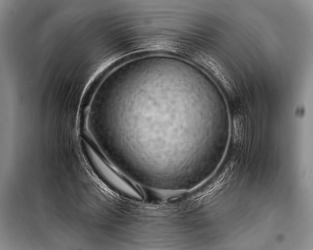 X0000100950780200807011308