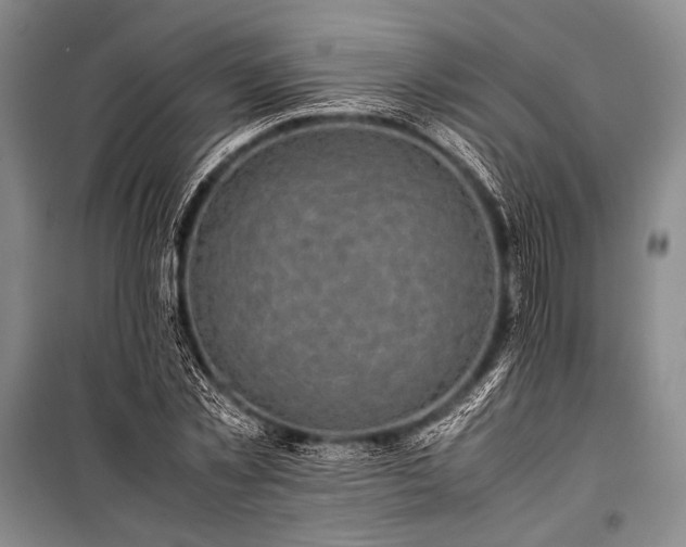X0000100950781200807011308