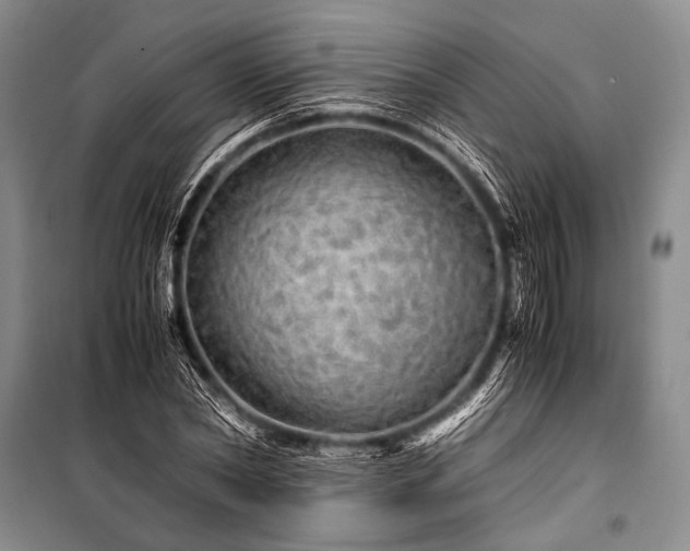 X0000100950782200807011308