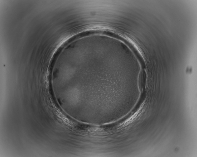 X0000100950783200807011308