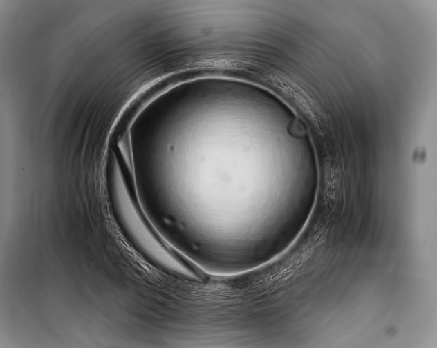 X0000100950784200807011308