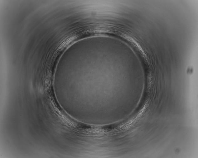 X0000100950785200807011308