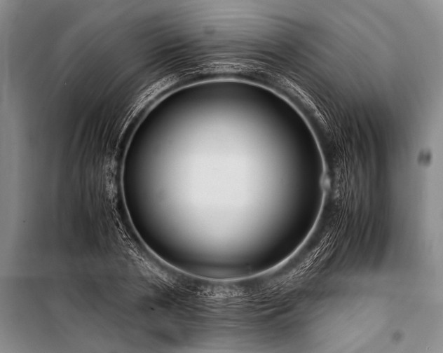 X0000100950786200807011308