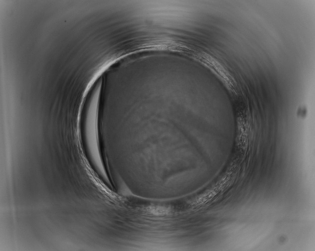 X0000100950788200807011308