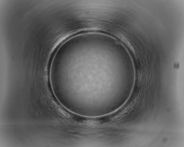X0000100950789200807011308
