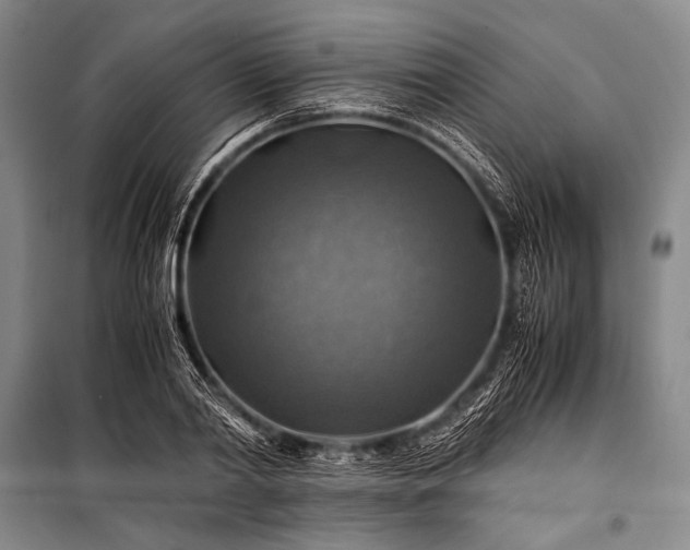 X0000100950790200807011308