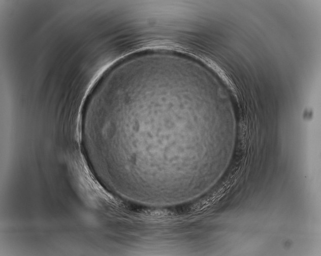 X0000100950791200807011308