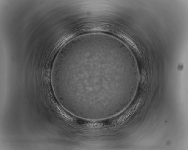 X0000100950793200807011308