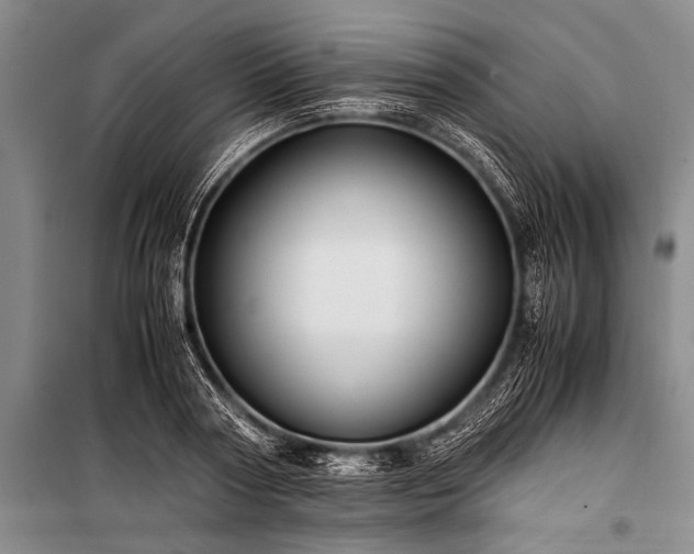X0000100950794200807011308