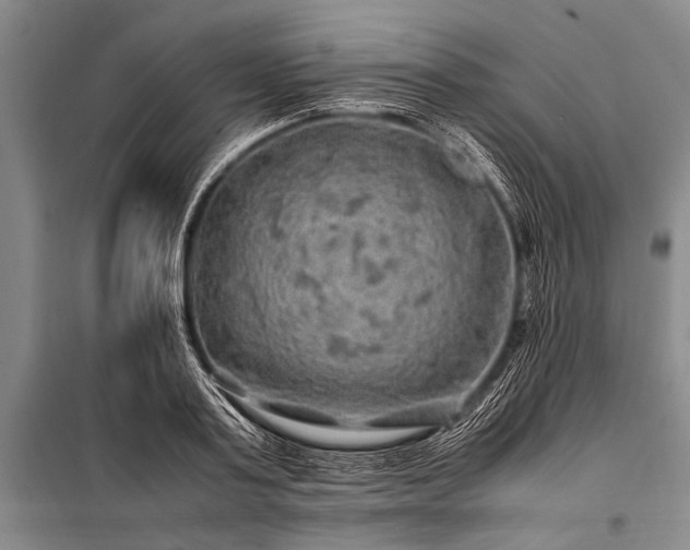 X0000100950795200807011308