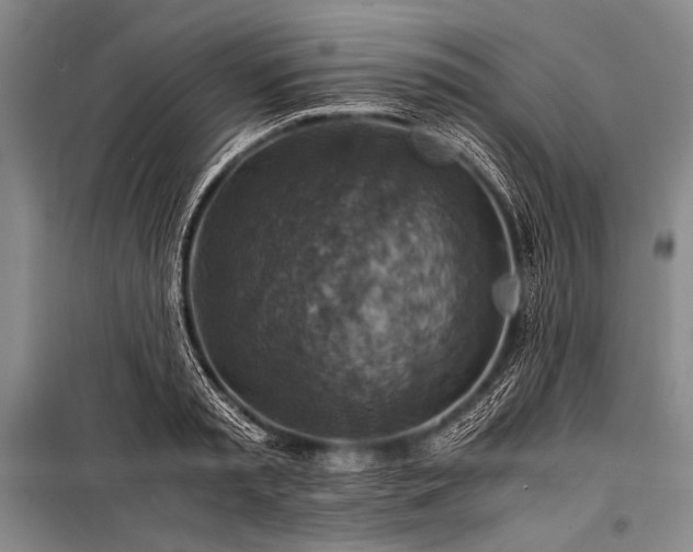 X0000100950797200807011308