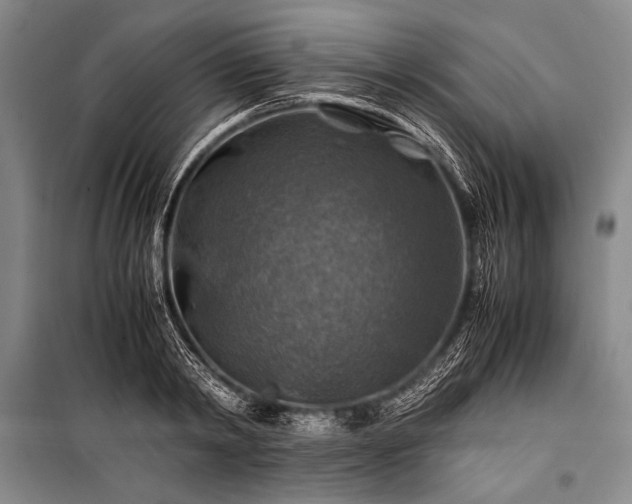 X0000100950798200807011307