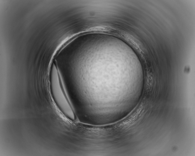 X0000100950800200807011307