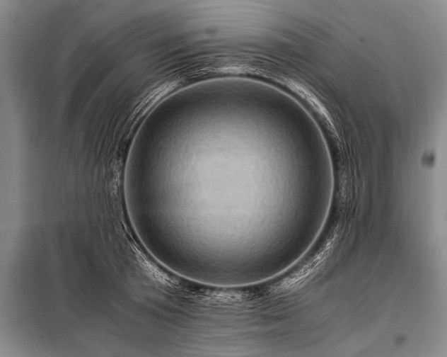 X0000100950801200807011307