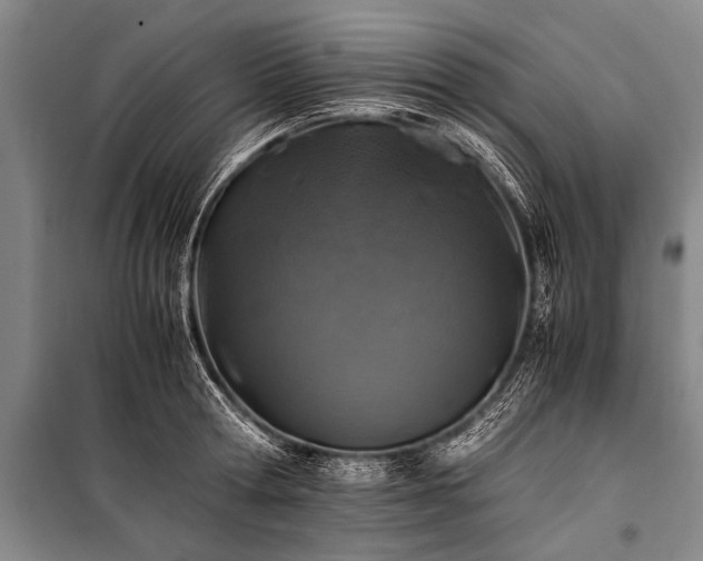 X0000100950802200807011307