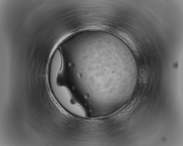 X0000100950804200807011307
