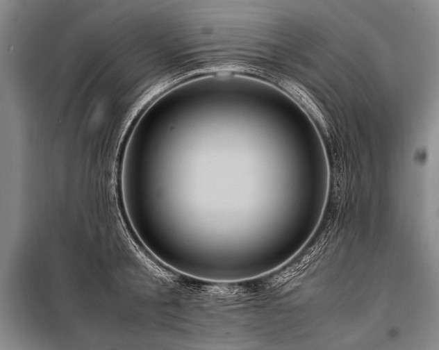 X0000100950805200807011307