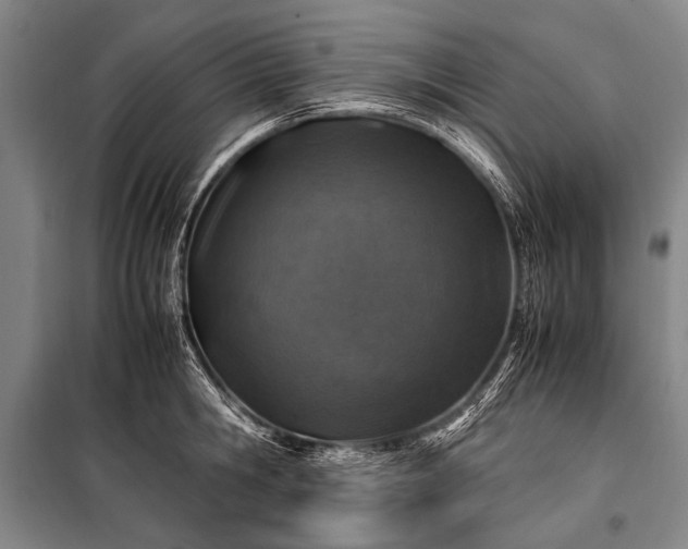 X0000100950806200807011307