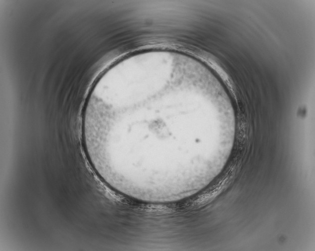 X0000100950807200807011307