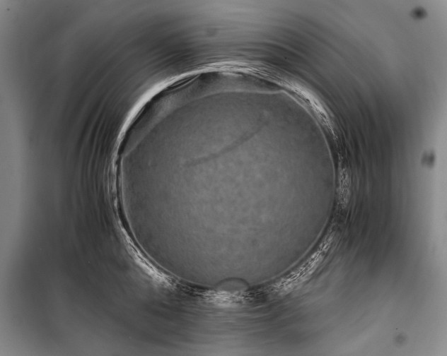 X0000100950808200807011307