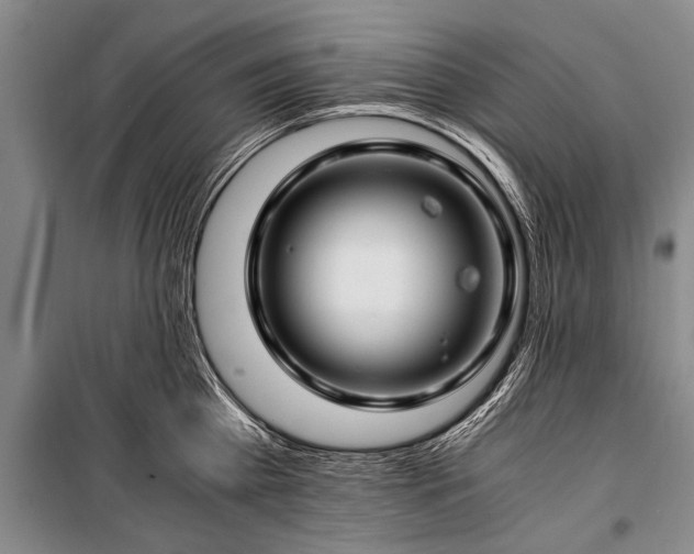X0000100950809200807011307