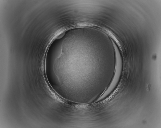 X0000100950810200807011307