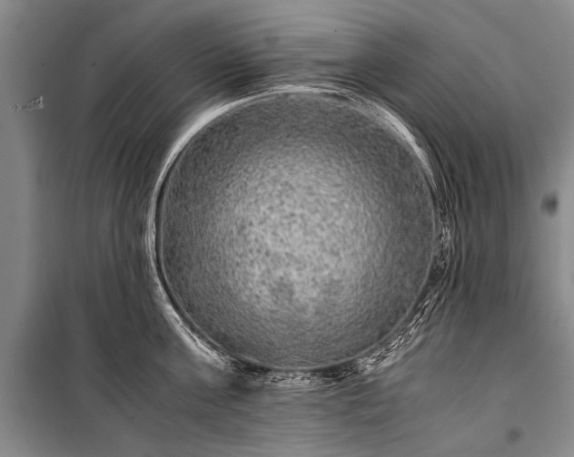 X0000100950811200807011307
