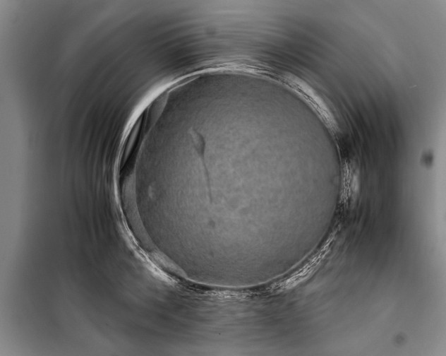 X0000100950812200807011307