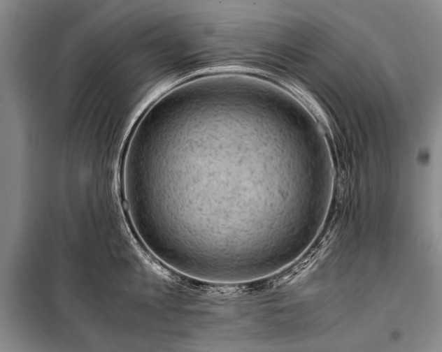 X0000100950813200807011307