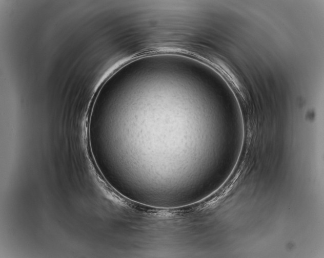 X0000100950814200807011307