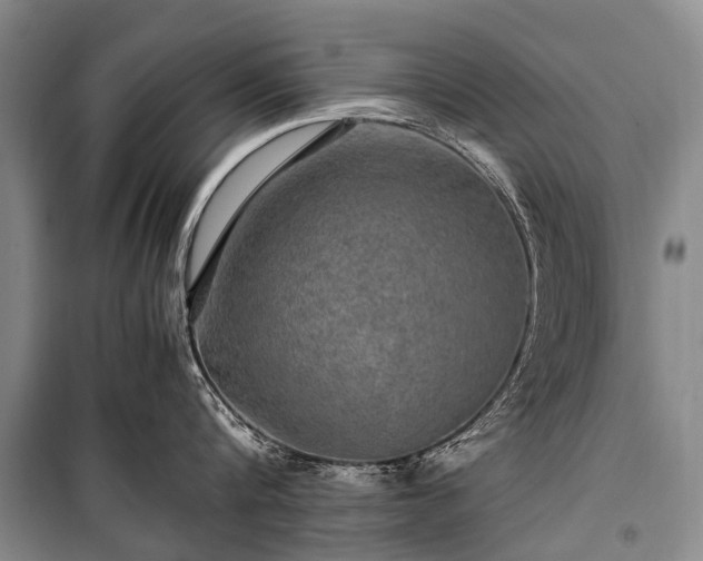 X0000100950816200807011307