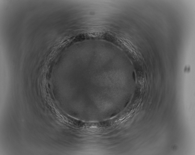 X0000100950817200807011306