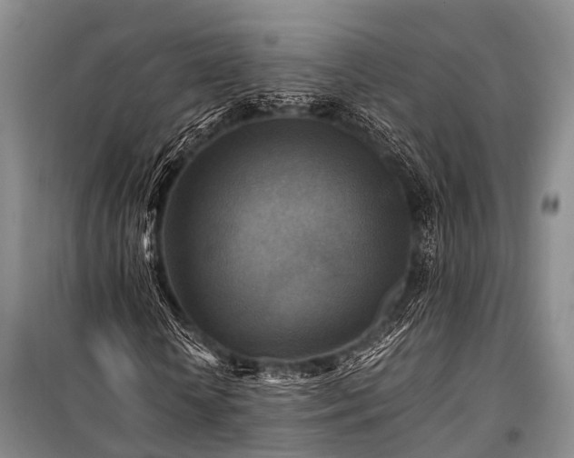 X0000100950818200807011306