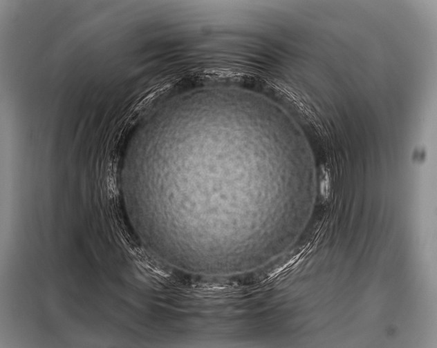 X0000100950819200807011306