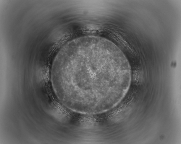 X0000100950820200807011306