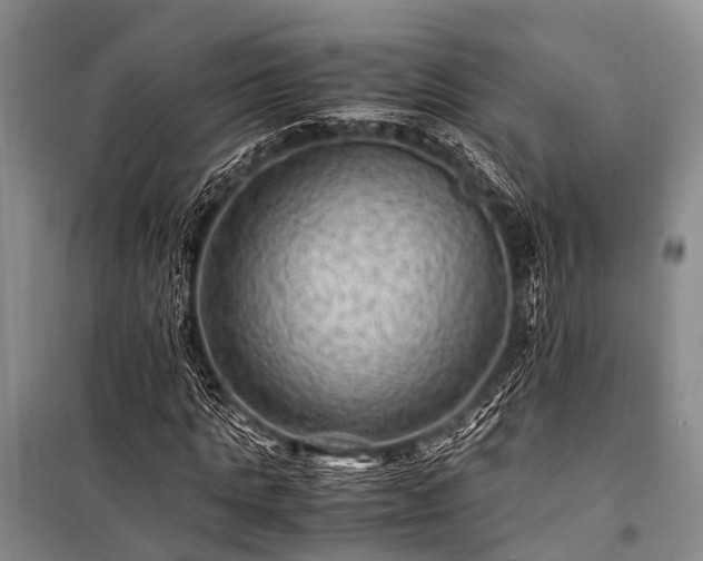 X0000100950821200807011306