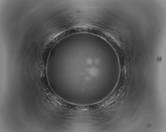 X0000100950822200807011306