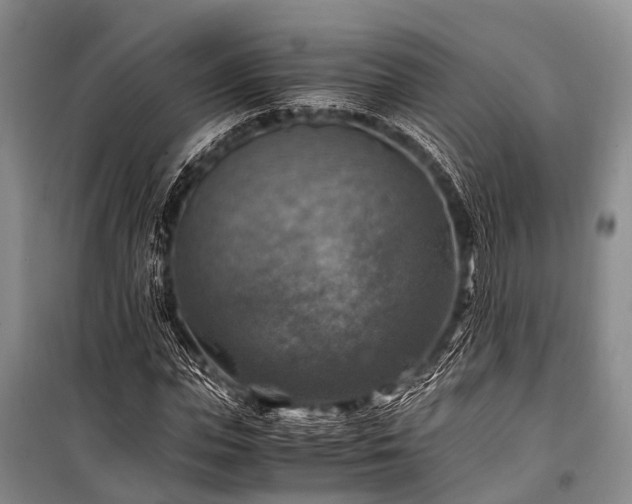 X0000100950823200807011306