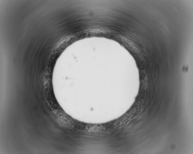 X0000100950824200807011307