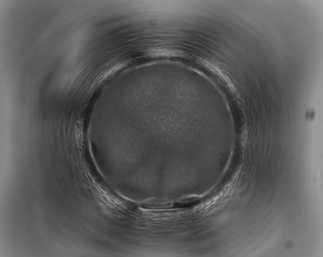 X0000100950825200807011307