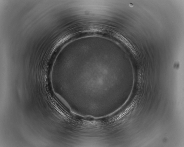 X0000100950826200807011307