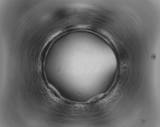 X0000100950827200807011307
