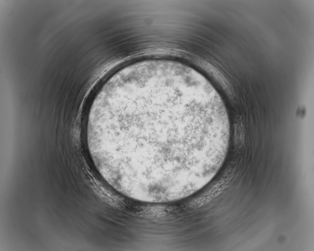 X0000100950828200807011307