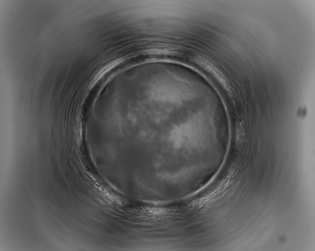 X0000100950829200807011307