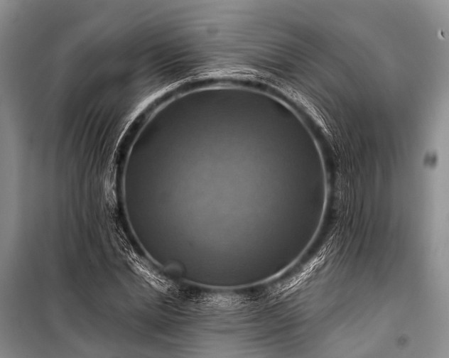 X0000100950830200807011307