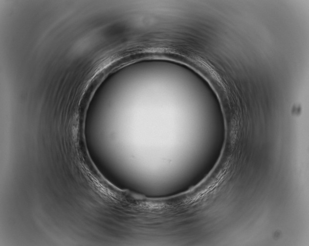 X0000100950831200807011307