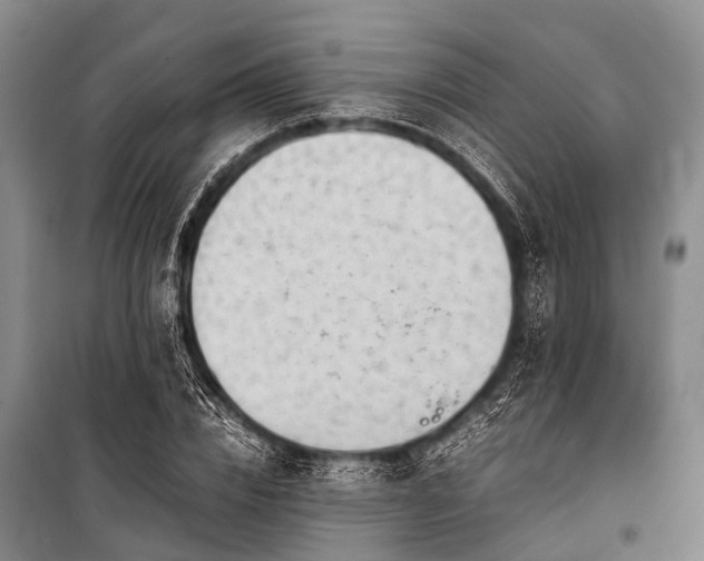X0000100950832200807011307
