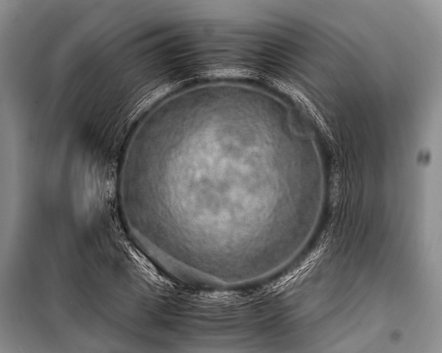 X0000100950833200807011307