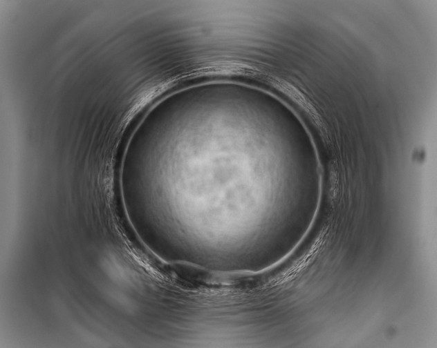 X0000100950834200807011307