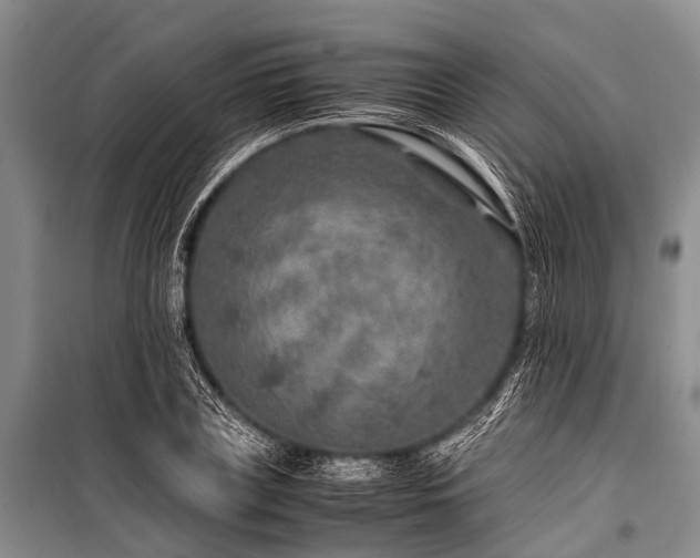 X0000100950835200807011307